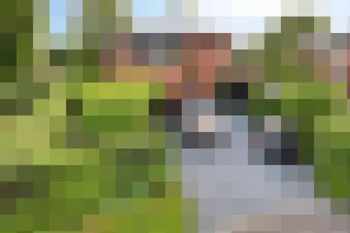 Stiena Ruypers Park 17 Valkenburg thumbnail 7