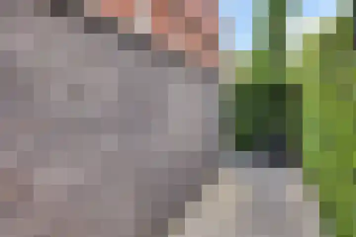 Stiena Ruypers Park 17 Valkenburg thumbnail 71