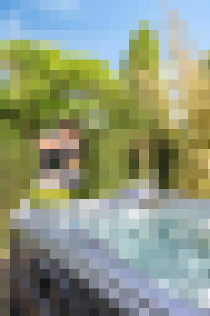 Stiena Ruypers Park 17 Valkenburg thumbnail 83