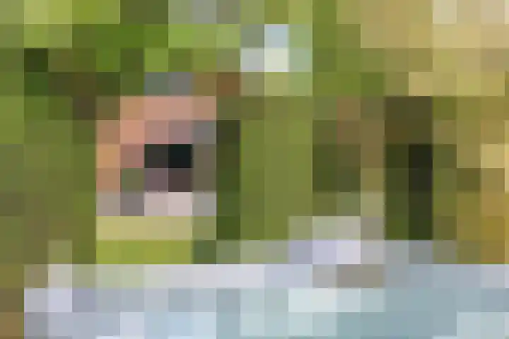 Stiena Ruypers Park 17 Valkenburg thumbnail 85