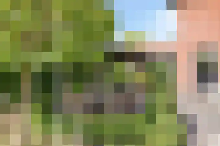 Stiena Ruypers Park 17 Valkenburg thumbnail 94