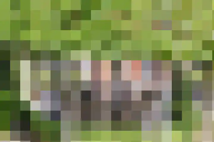 Stiena Ruypers Park 17 Valkenburg thumbnail 97