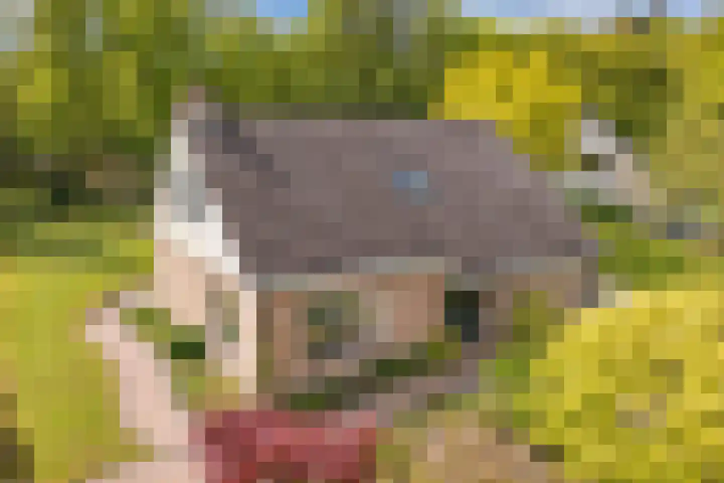 Stiendollen 25 Oudemirdum thumbnail 10