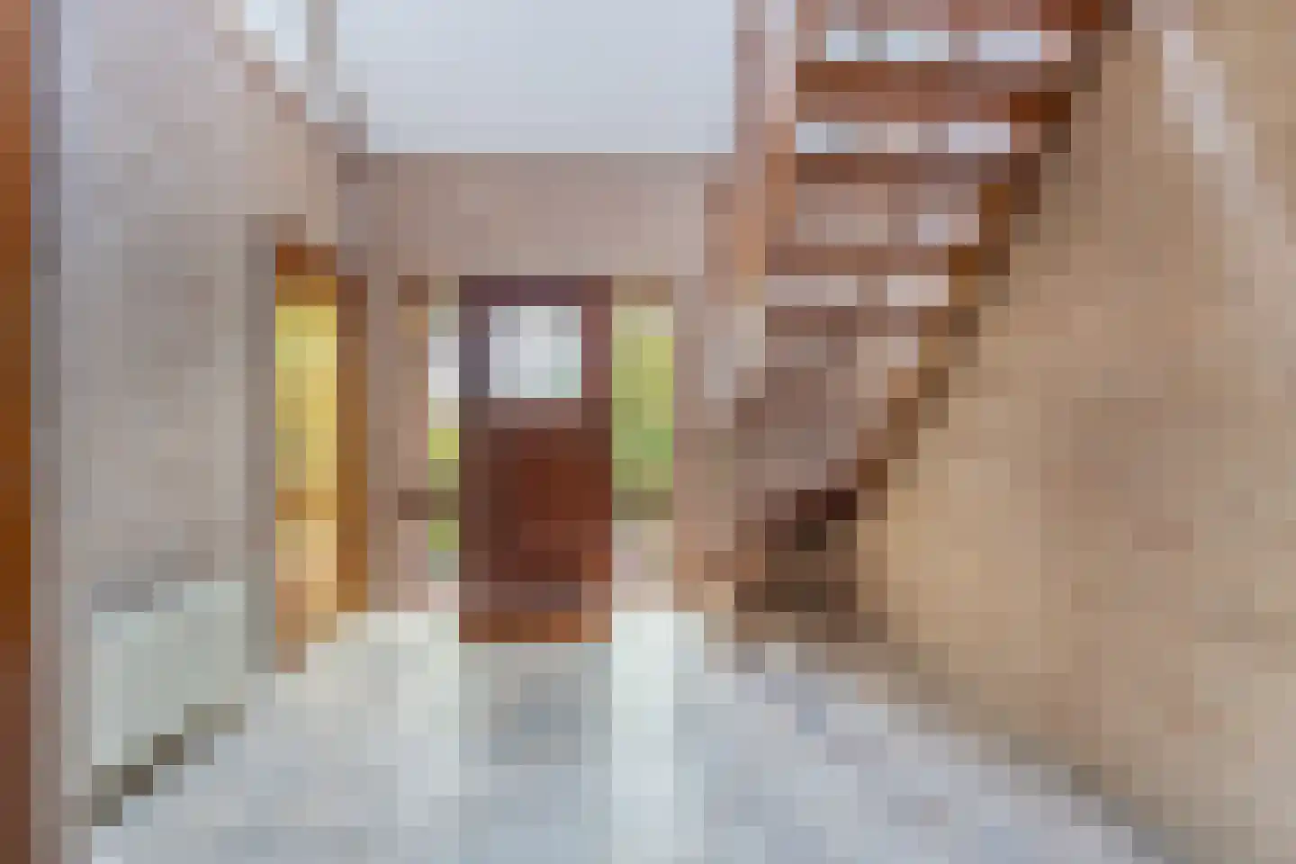 Stiendollen 25 Oudemirdum thumbnail 13
