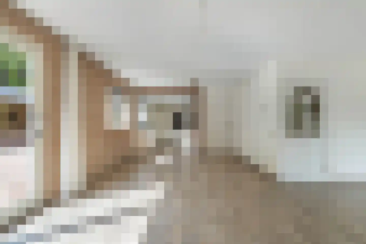 Stiendollen 25 Oudemirdum thumbnail 19
