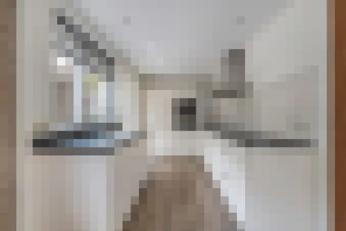 Stiendollen 25 Oudemirdum thumbnail 21