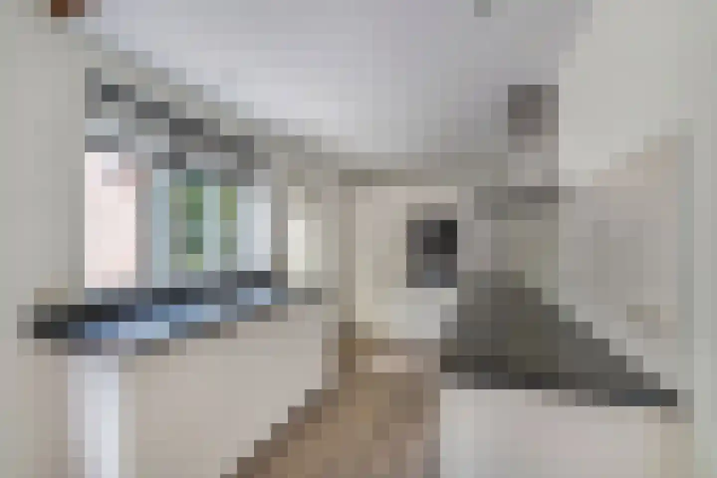 Stiendollen 25 Oudemirdum thumbnail 22