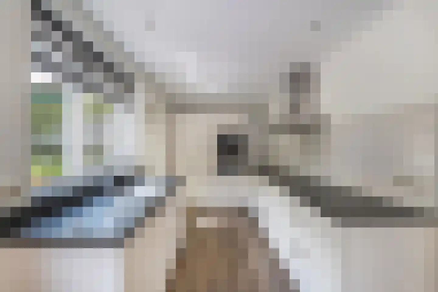 Stiendollen 25 Oudemirdum thumbnail 23