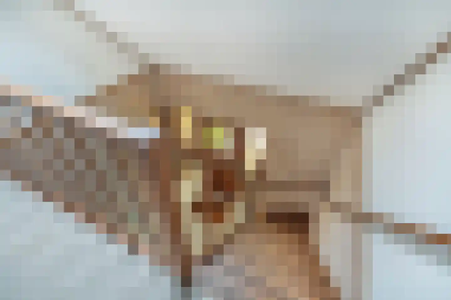 Stiendollen 25 Oudemirdum thumbnail 36