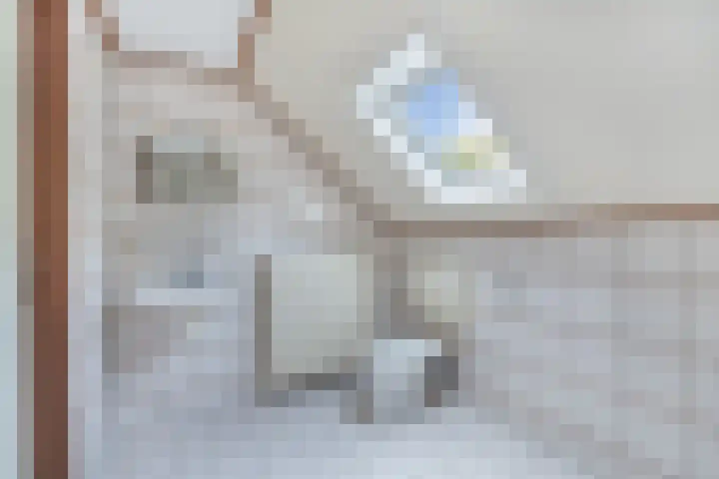 Stiendollen 25 Oudemirdum thumbnail 42