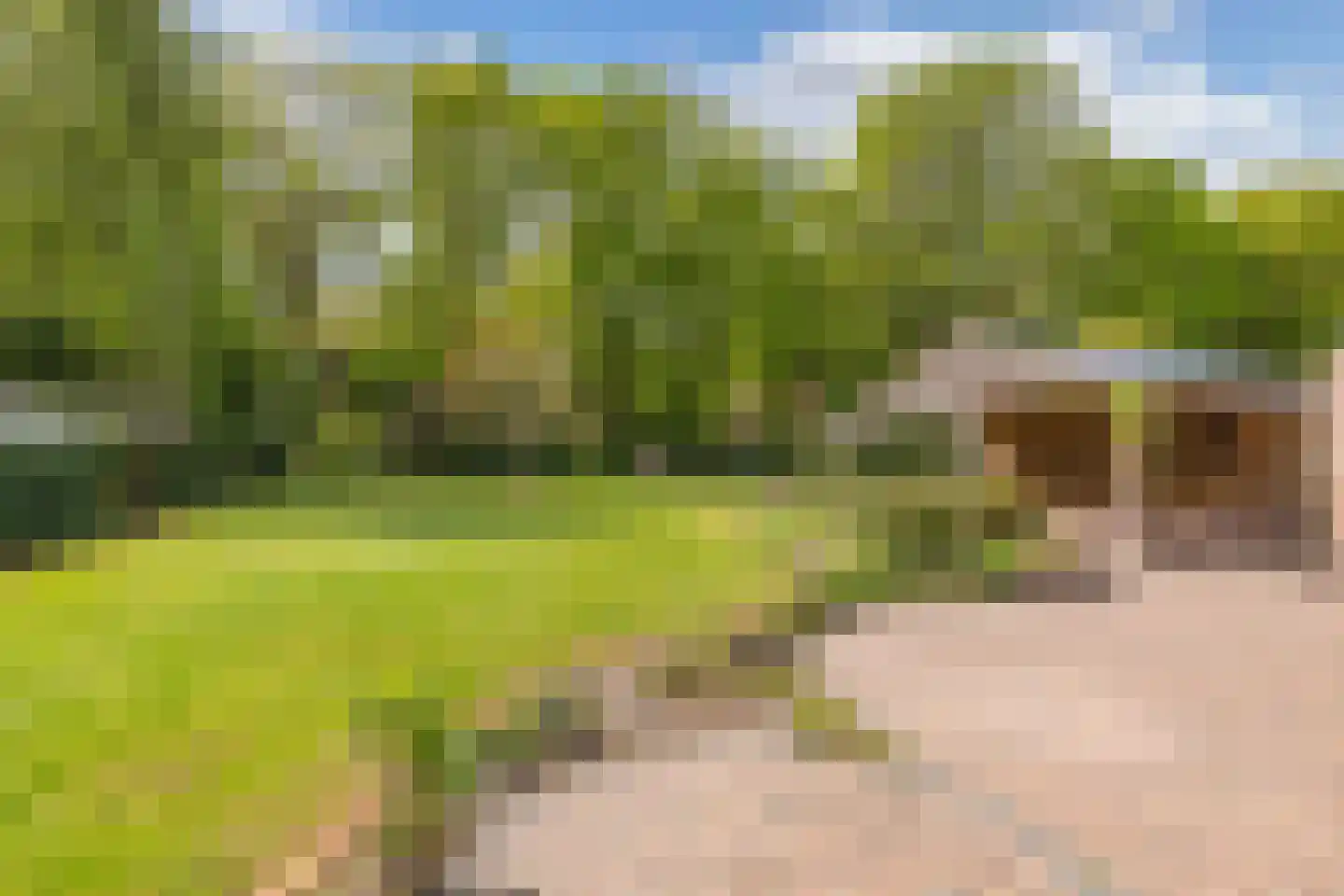 Stiendollen 25 Oudemirdum thumbnail 46