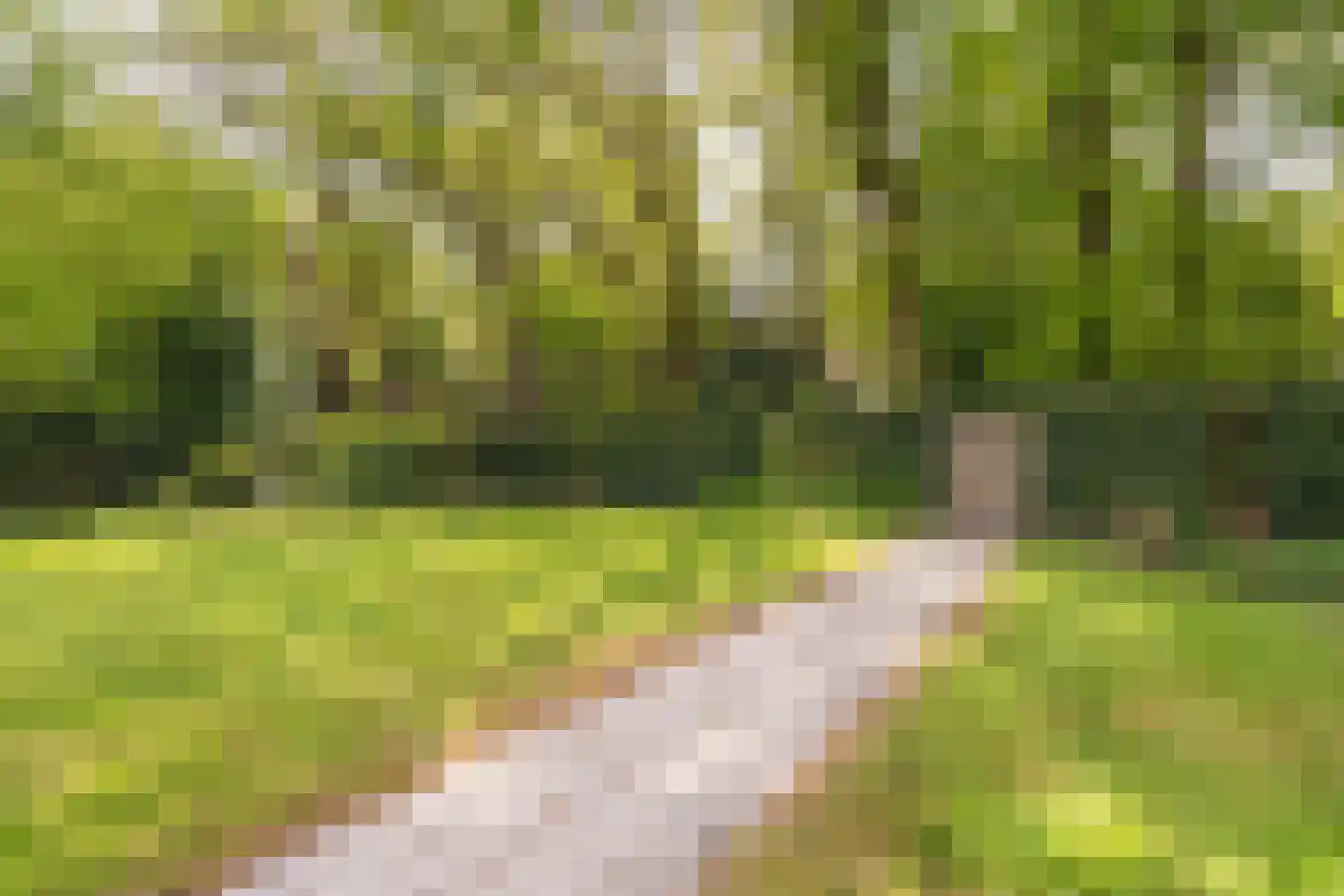 Stiendollen 25 Oudemirdum thumbnail 48