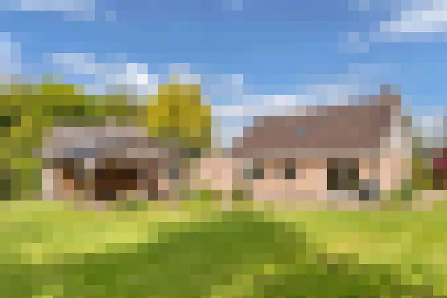 Stiendollen 25 Oudemirdum thumbnail 52