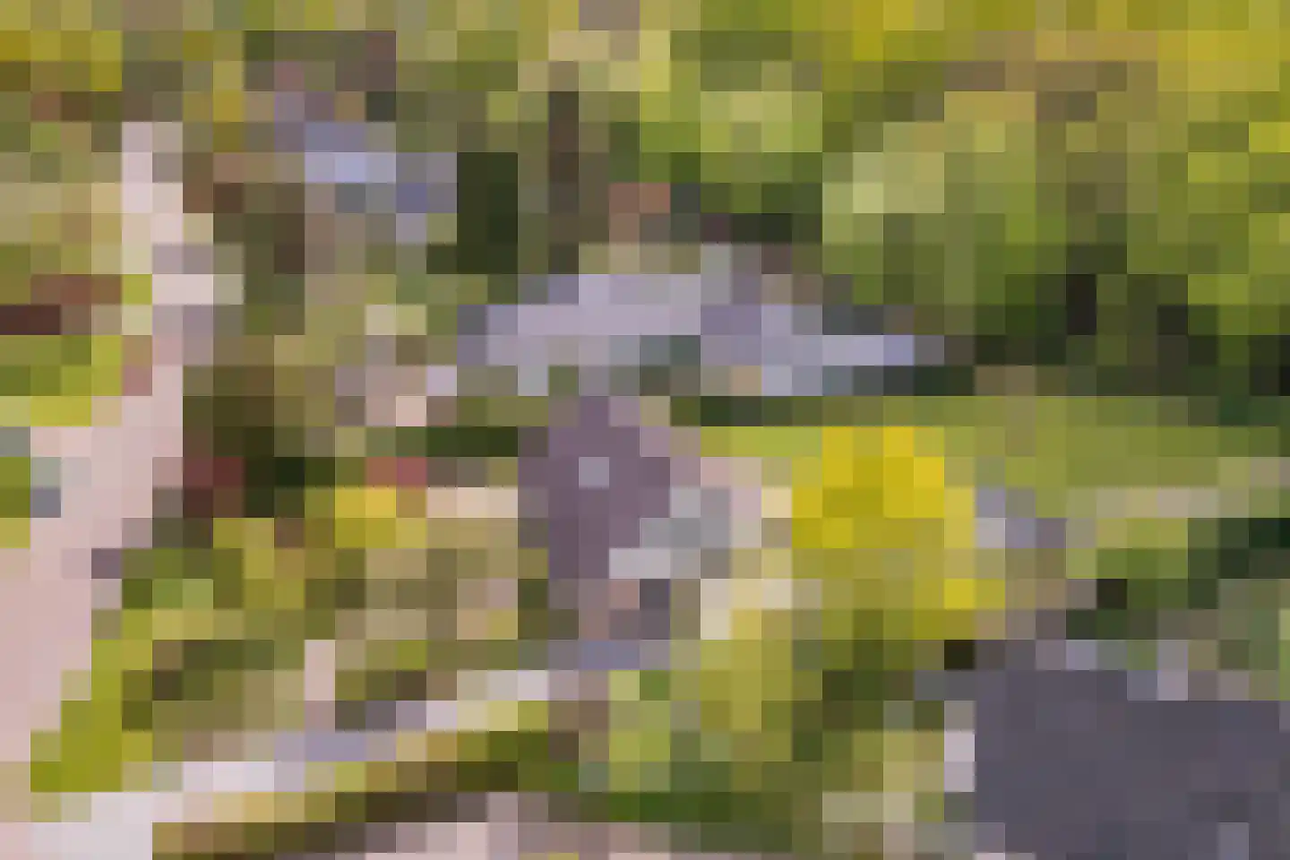 Stiendollen 25 Oudemirdum thumbnail 57