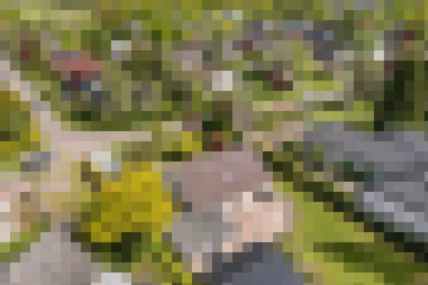 Stiendollen 25 Oudemirdum thumbnail 58