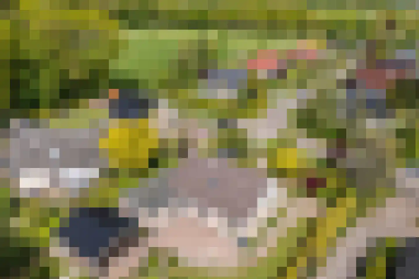 Stiendollen 25 Oudemirdum thumbnail 59