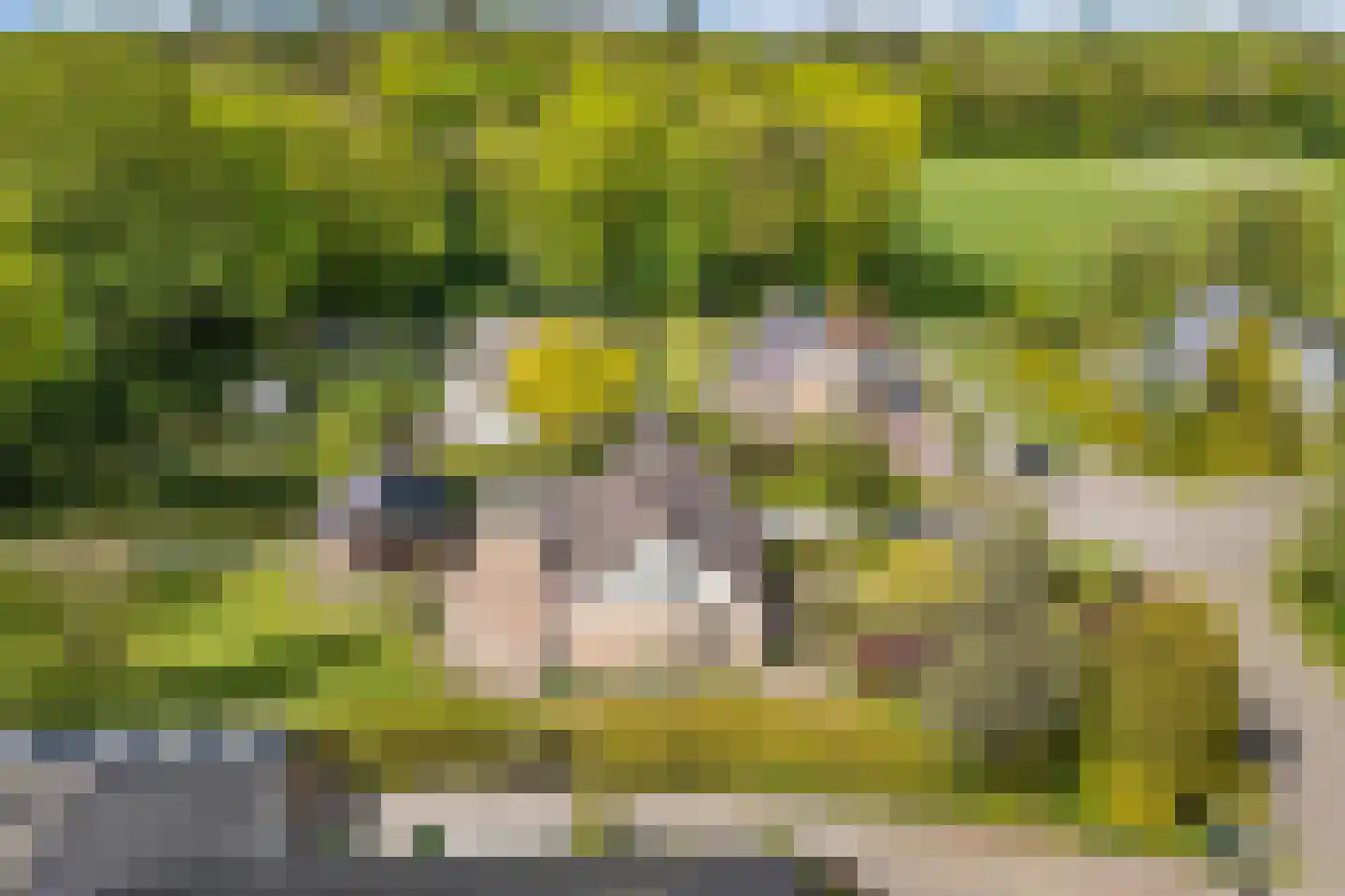 Stiendollen 25 Oudemirdum thumbnail 60