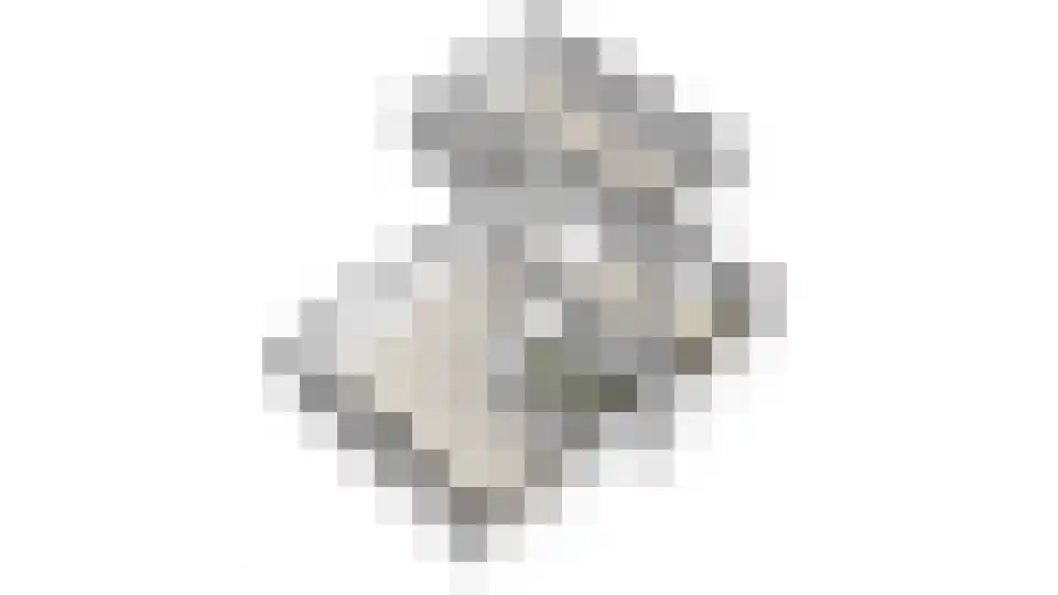Stiendollen 25 Oudemirdum thumbnail 65