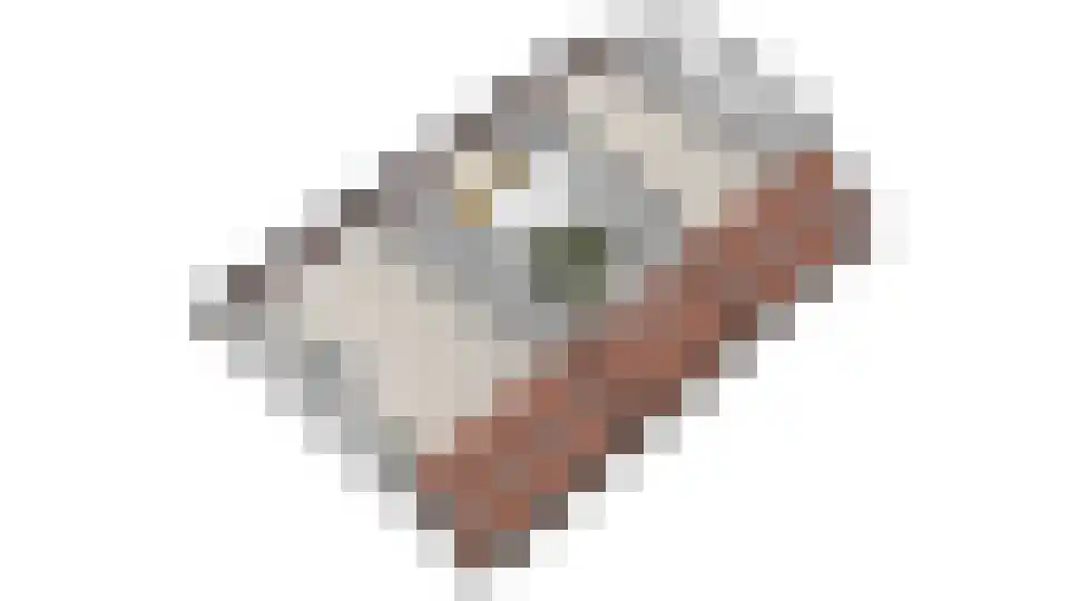 Stiendollen 25 Oudemirdum thumbnail 66