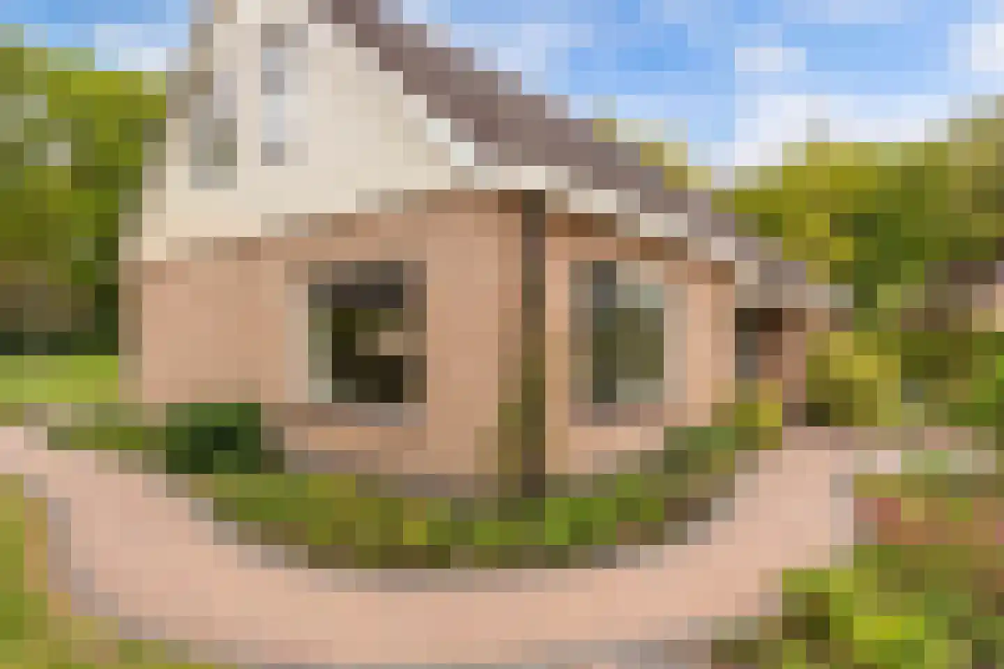 Stiendollen 25 Oudemirdum thumbnail 8