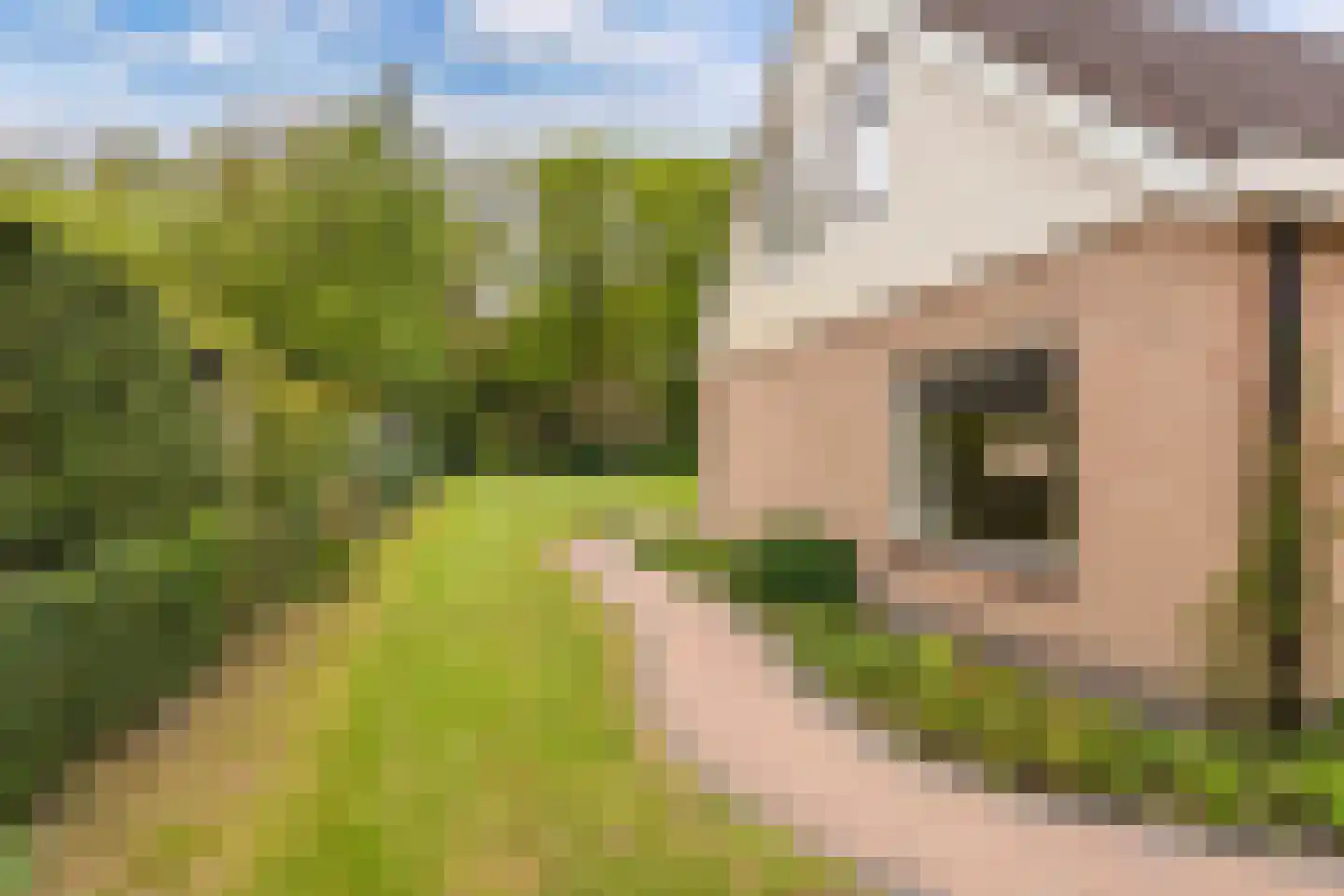 Stiendollen 25 Oudemirdum thumbnail 9