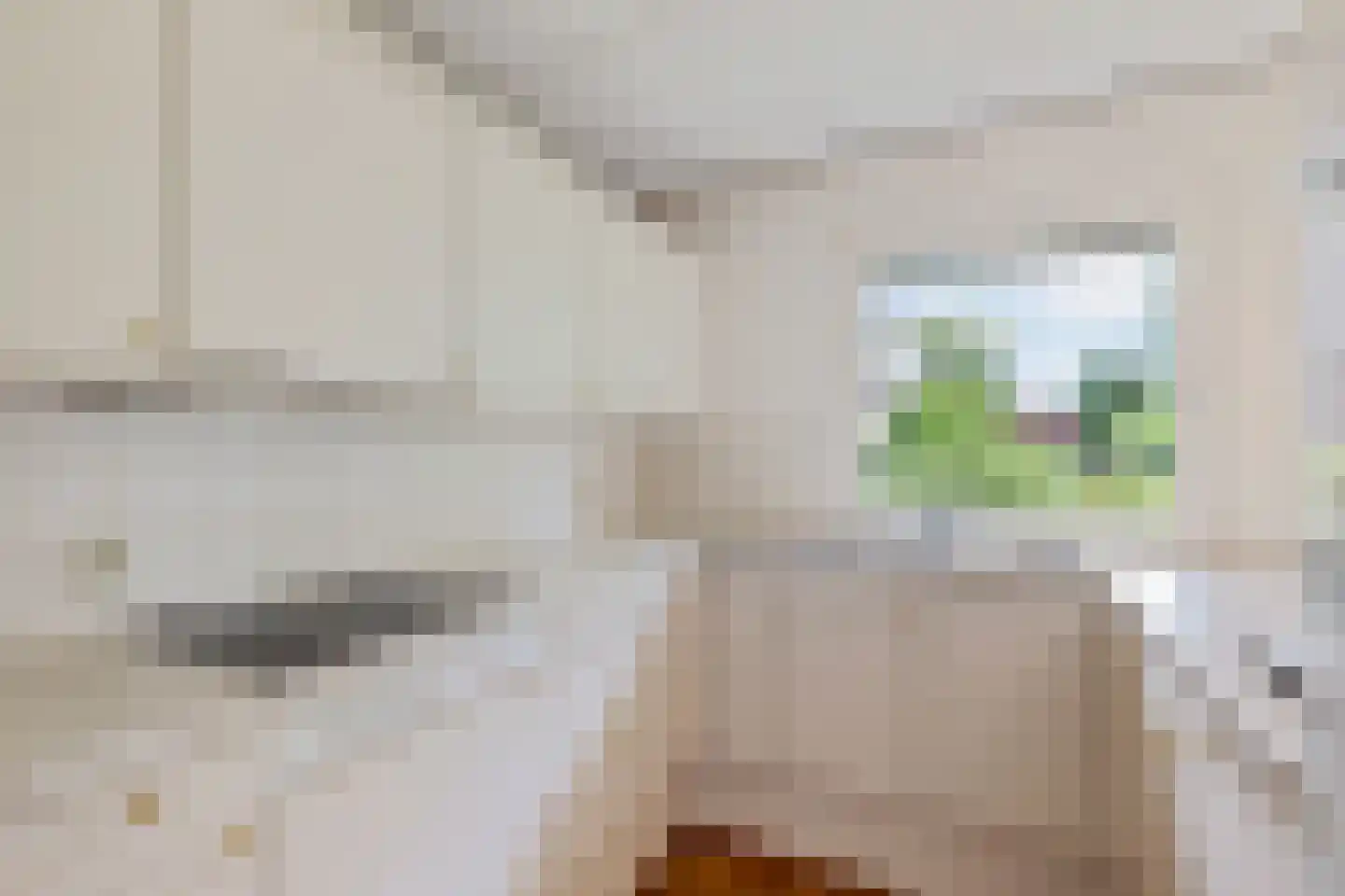 Stiendollen 3 Oudemirdum thumbnail 11