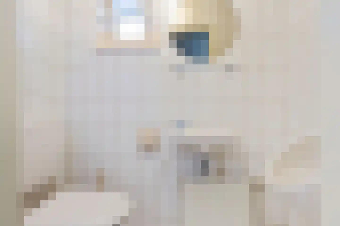 Stiendollen 3 Oudemirdum thumbnail 17