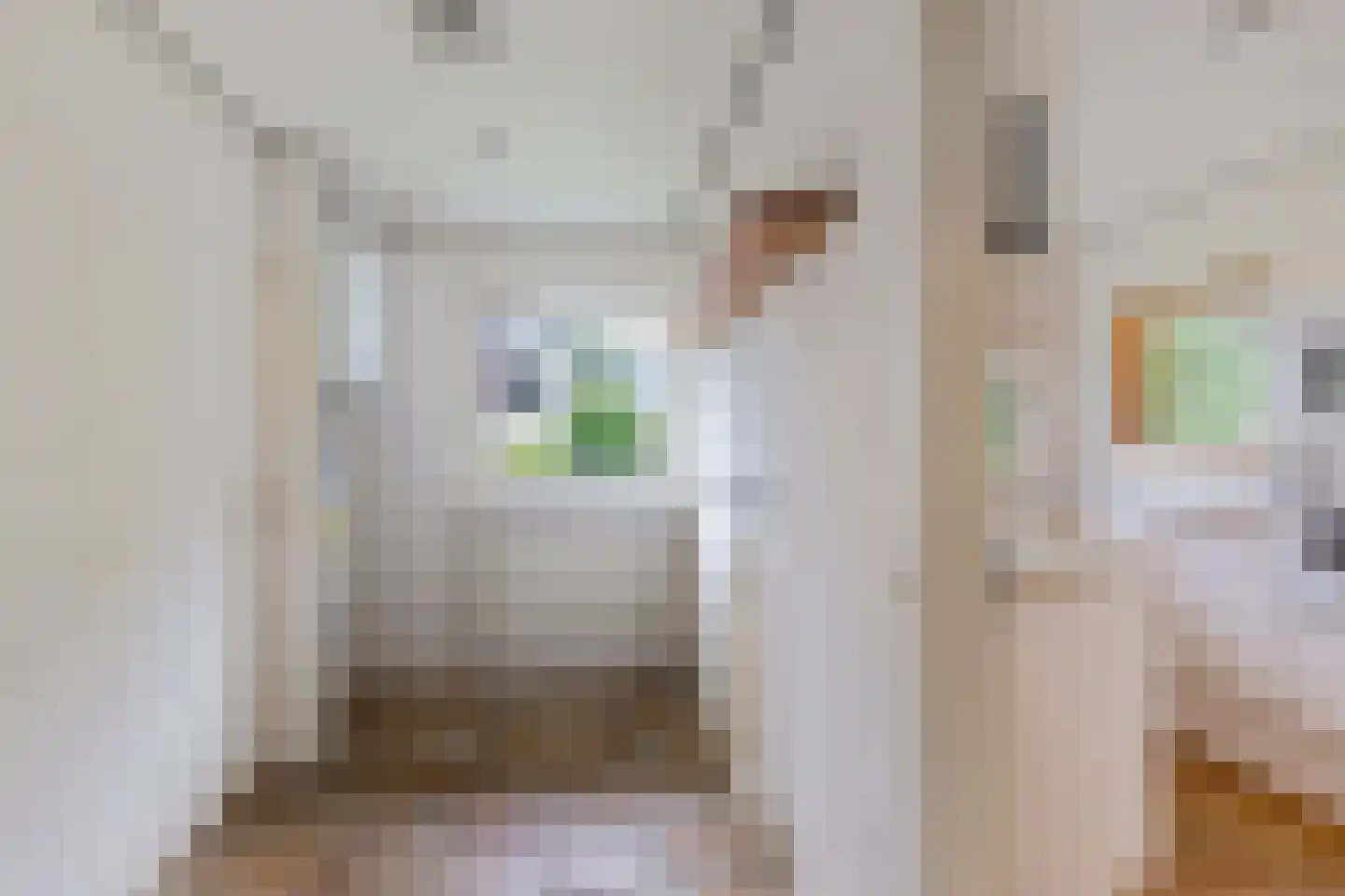 Stiendollen 3 Oudemirdum thumbnail 18