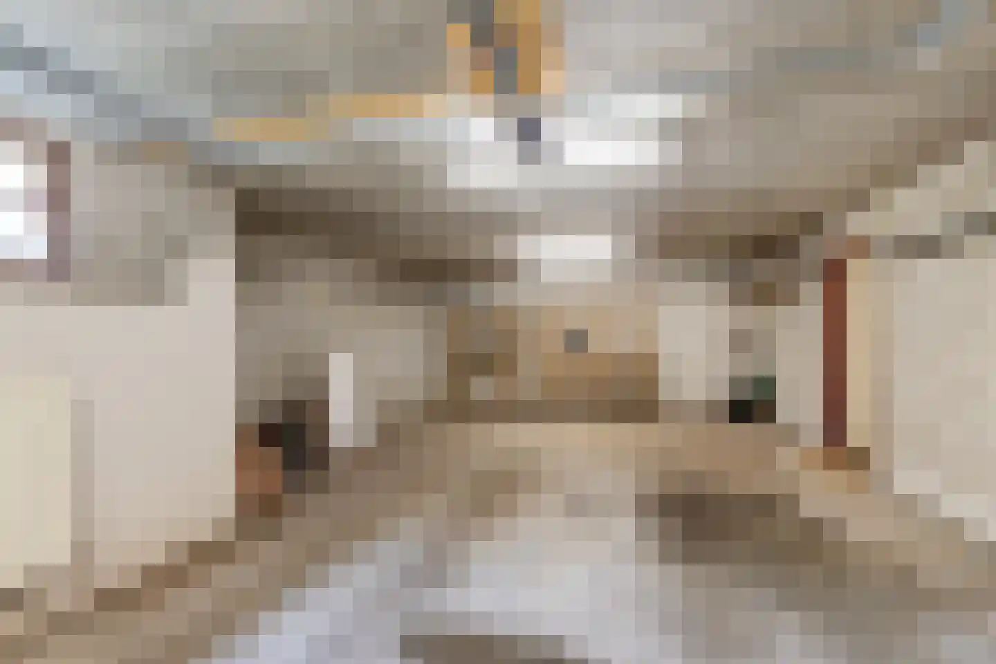 Stiendollen 3 Oudemirdum thumbnail 23