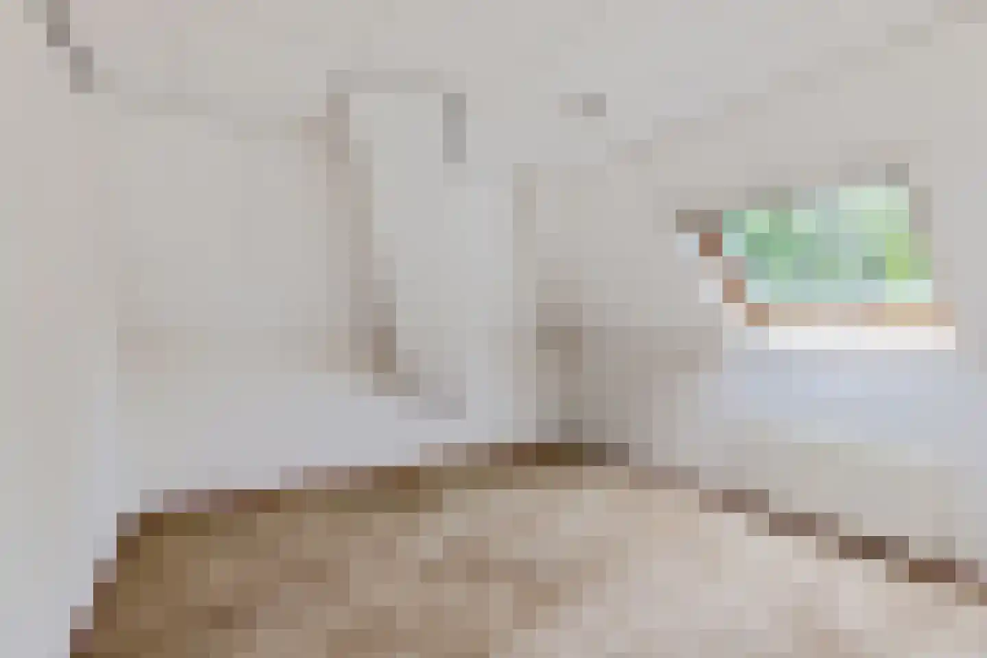 Stiendollen 3 Oudemirdum thumbnail 26