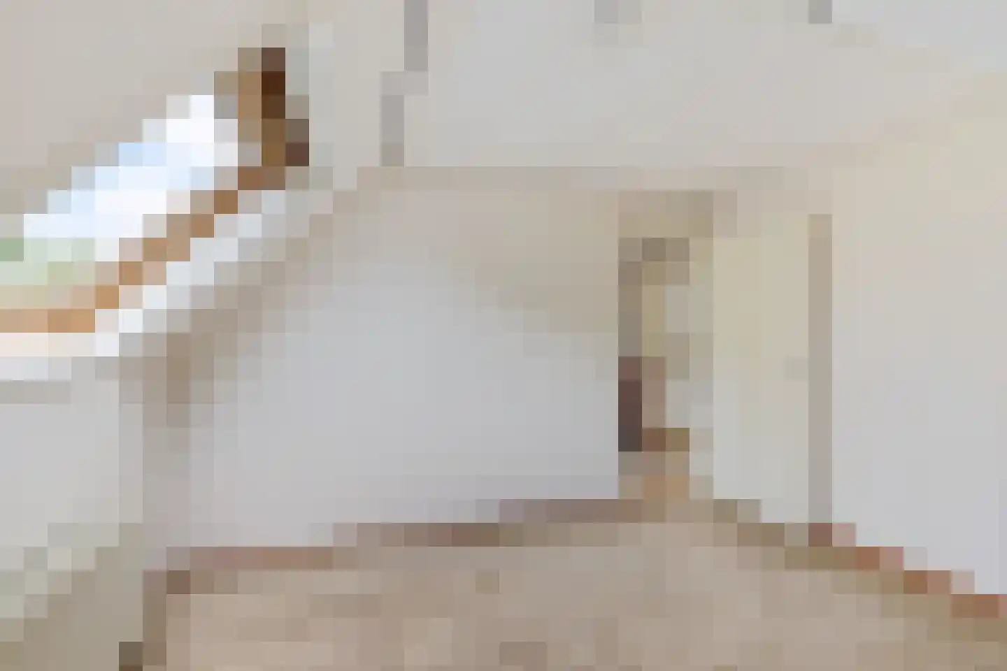 Stiendollen 3 Oudemirdum thumbnail 27