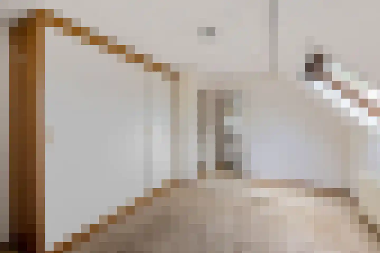 Stiendollen 3 Oudemirdum thumbnail 30