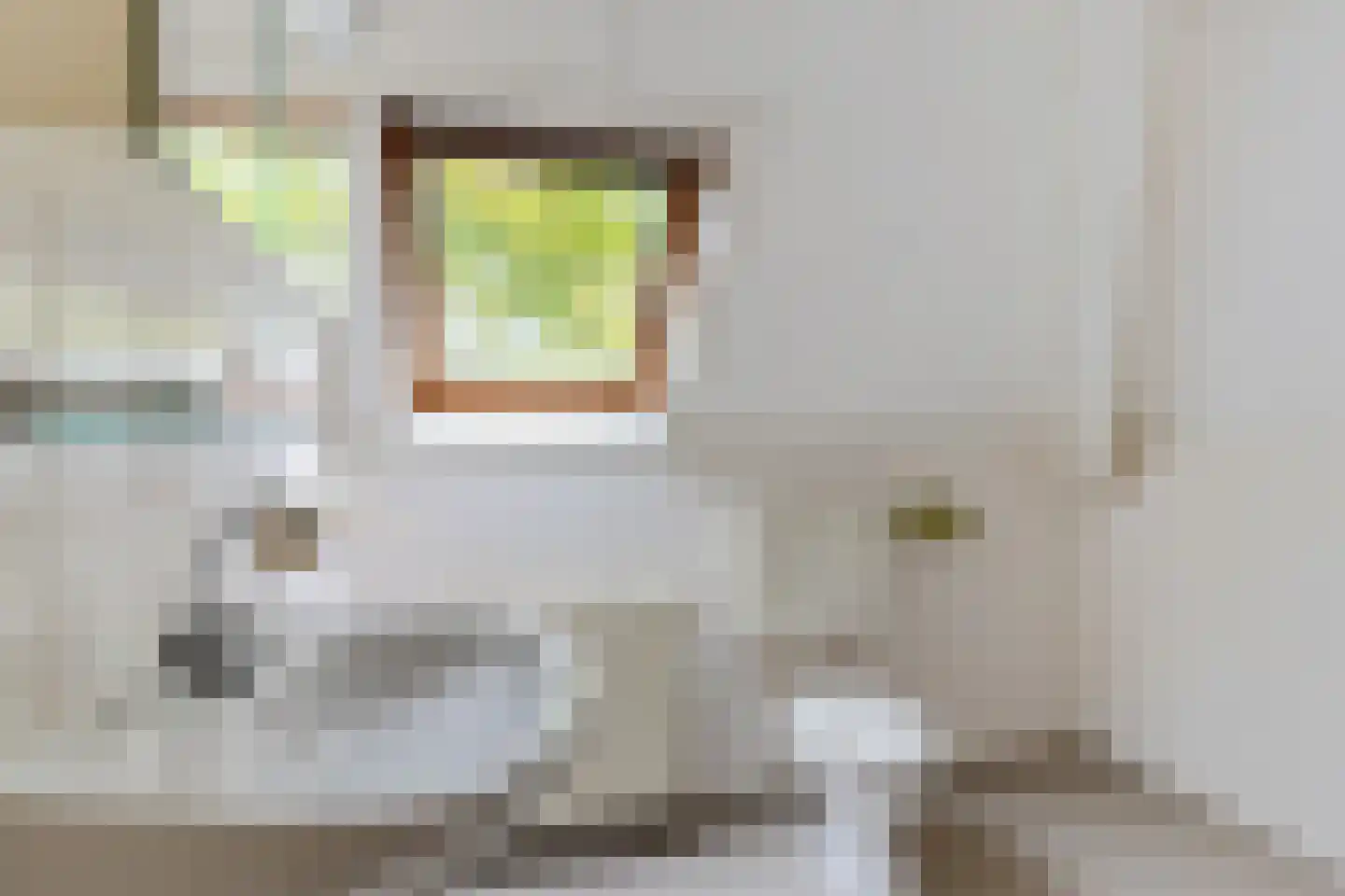 Stiendollen 3 Oudemirdum thumbnail 31