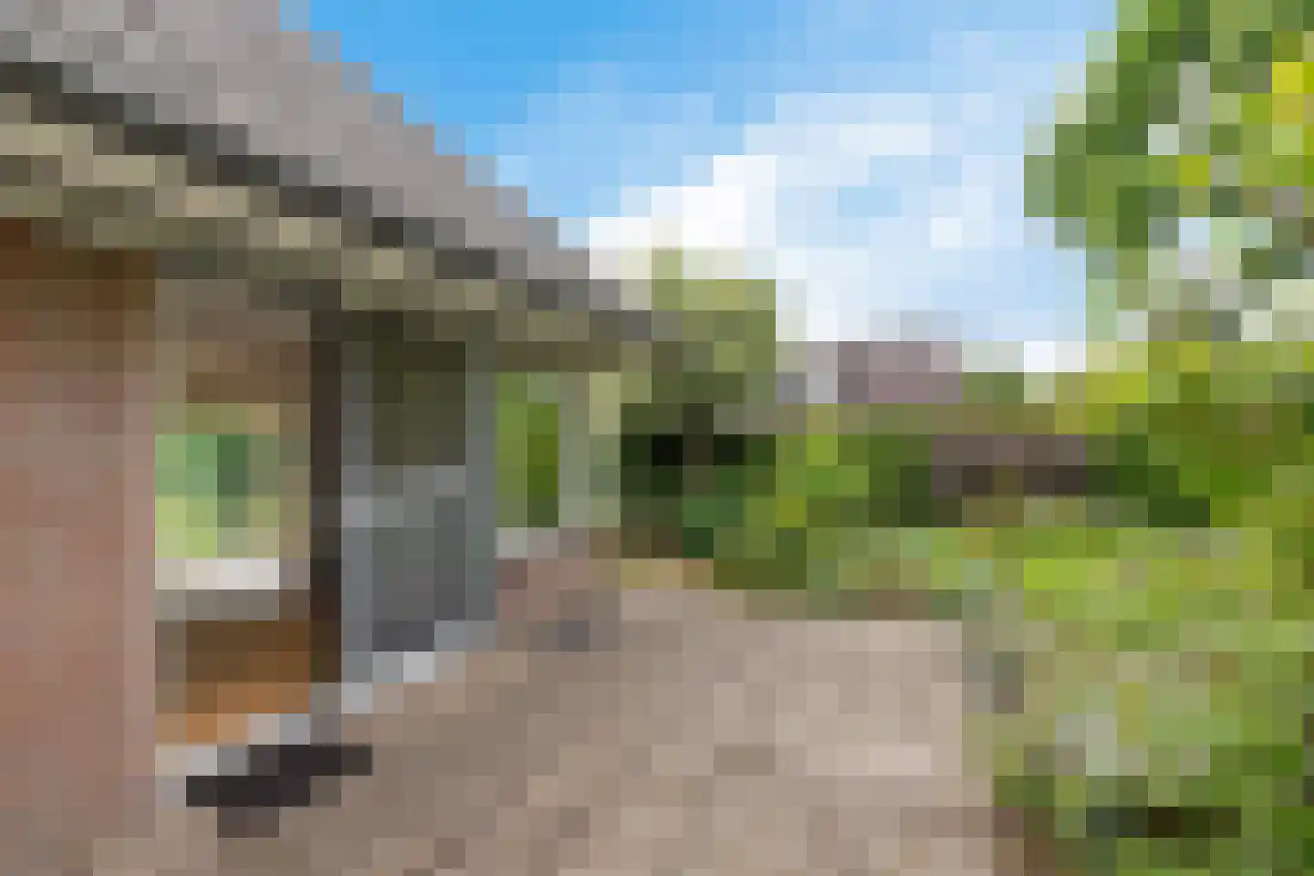Stiendollen 3 Oudemirdum thumbnail 34