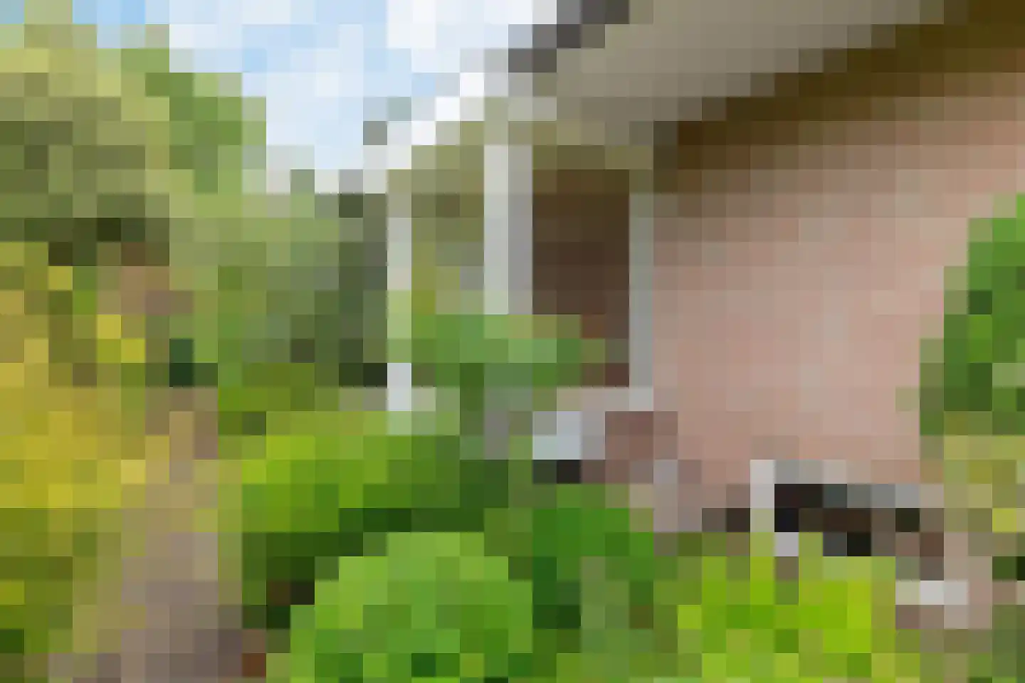 Stiendollen 3 Oudemirdum thumbnail 35