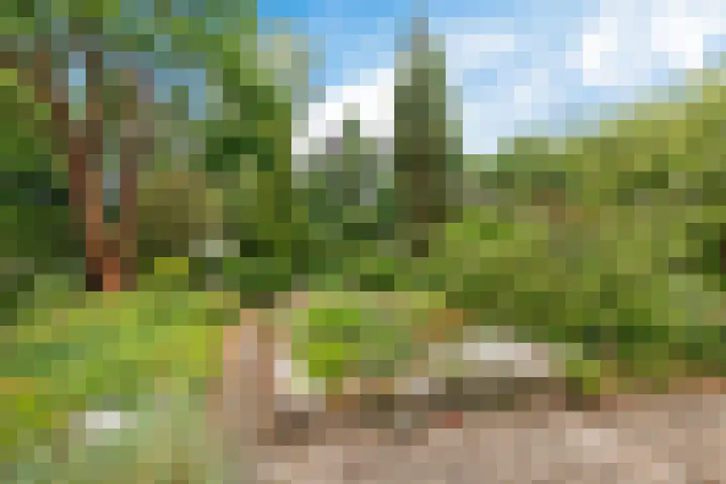 Stiendollen 3 Oudemirdum thumbnail 36