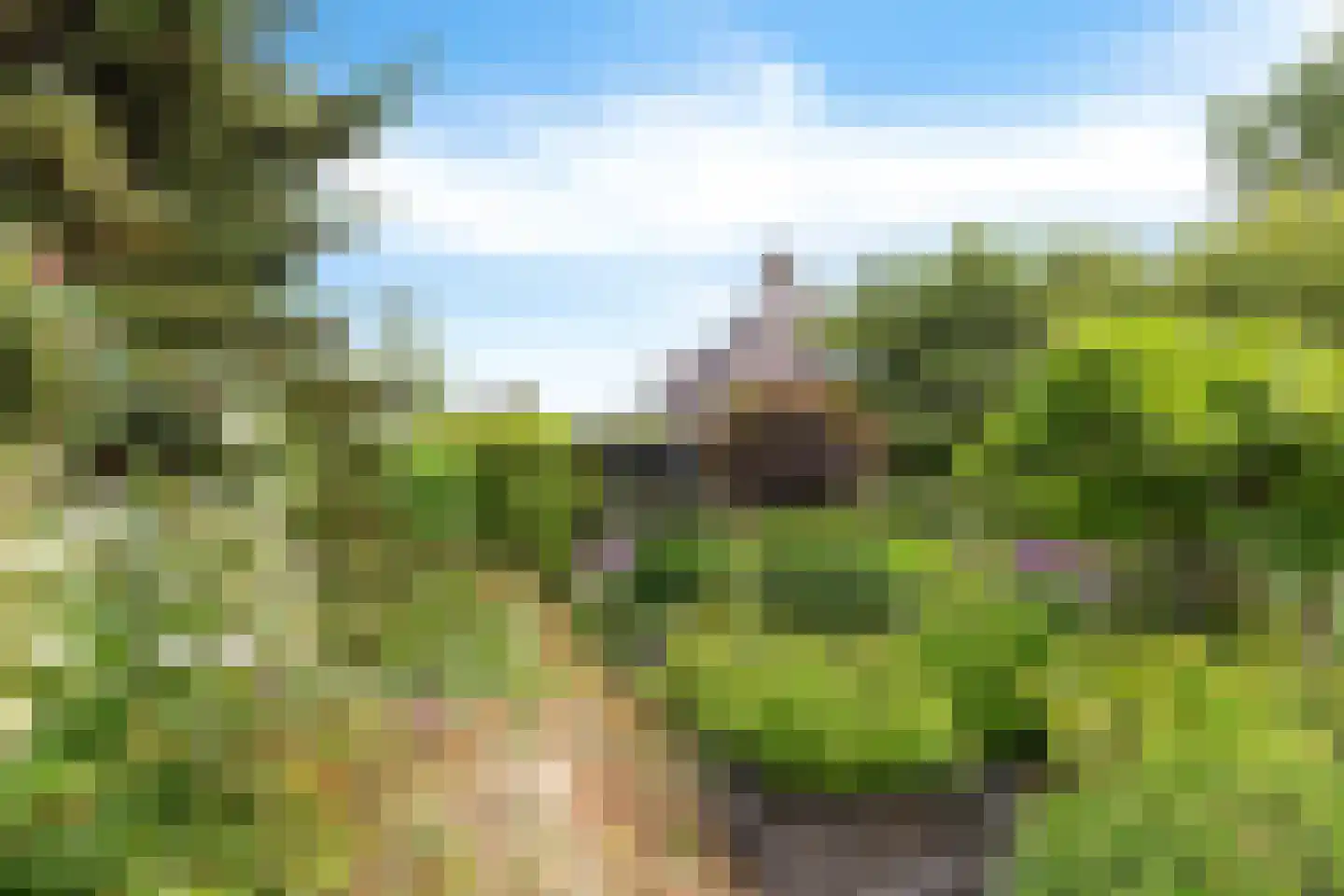 Stiendollen 3 Oudemirdum thumbnail 37