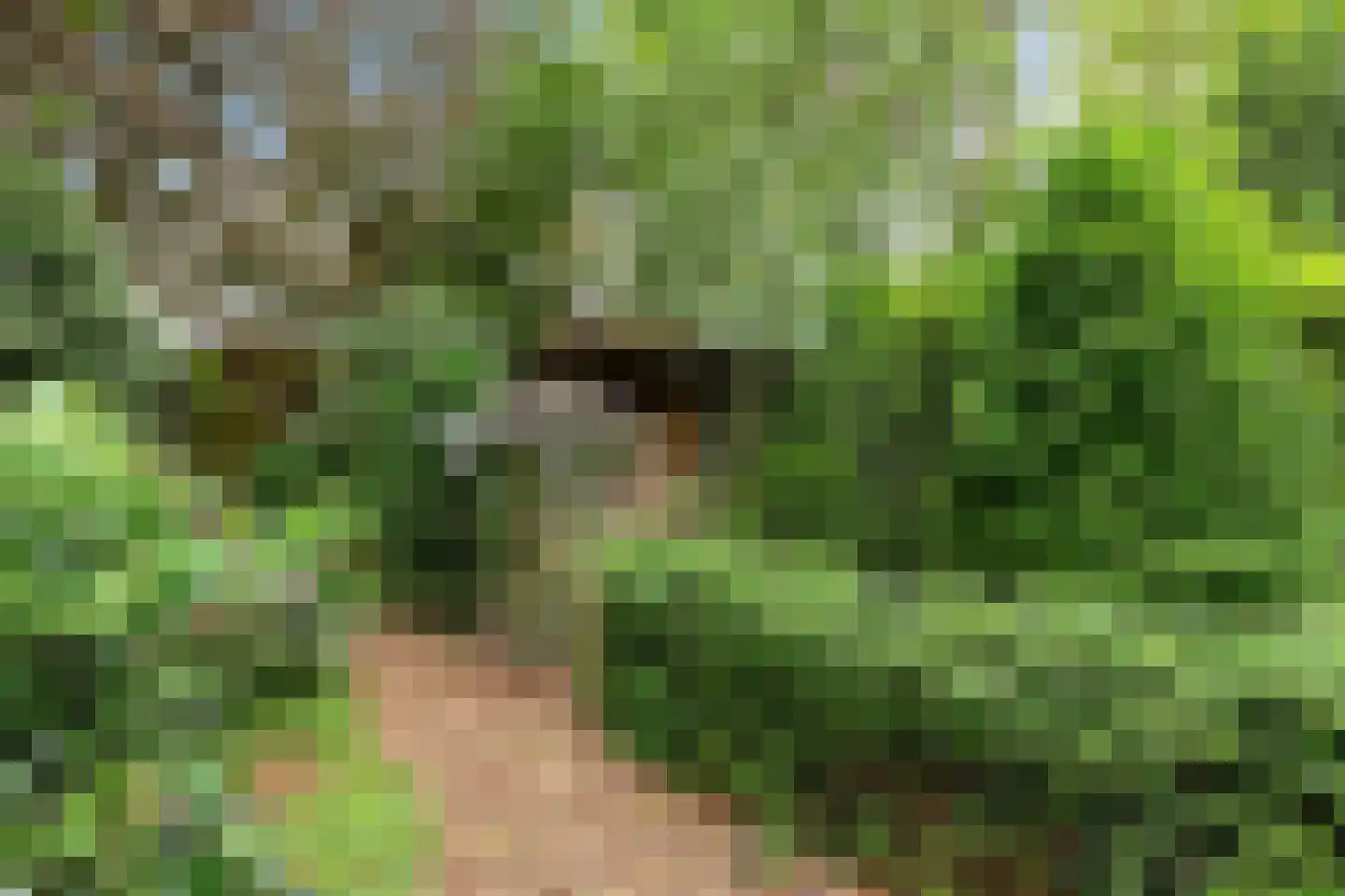 Stiendollen 3 Oudemirdum thumbnail 38