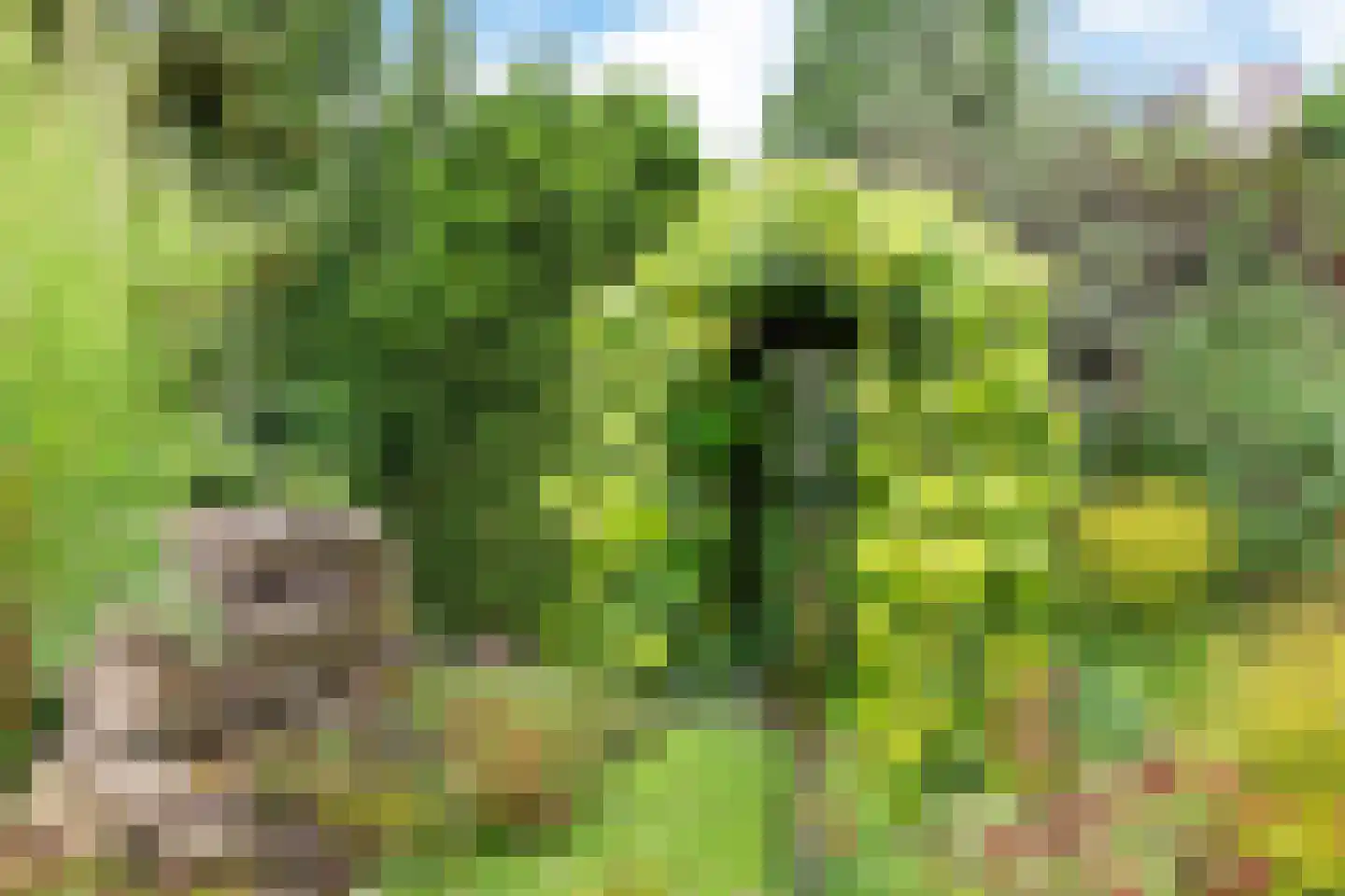 Stiendollen 3 Oudemirdum thumbnail 39