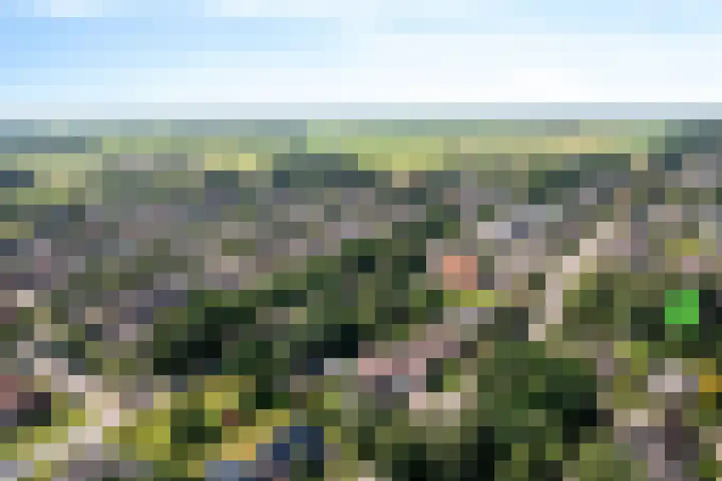 Stiendollen 3 Oudemirdum thumbnail 4
