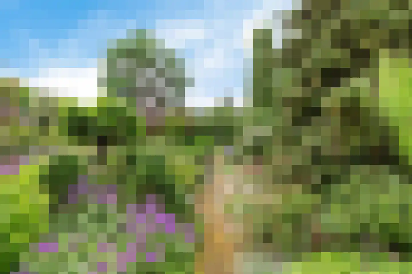 Stiendollen 3 Oudemirdum thumbnail 40