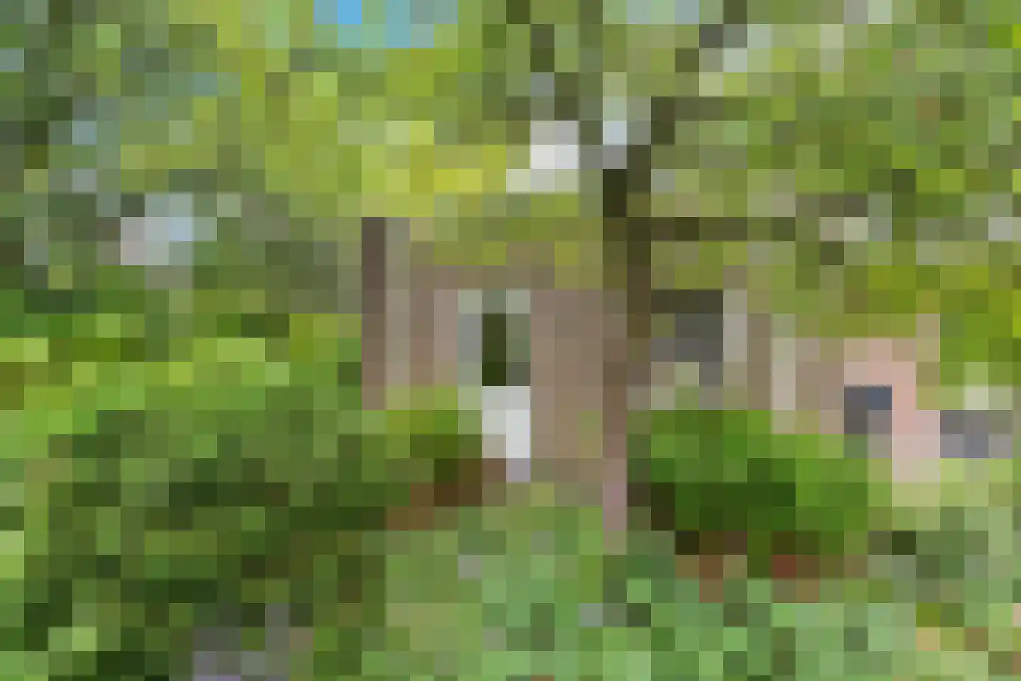 Stiendollen 3 Oudemirdum thumbnail 41