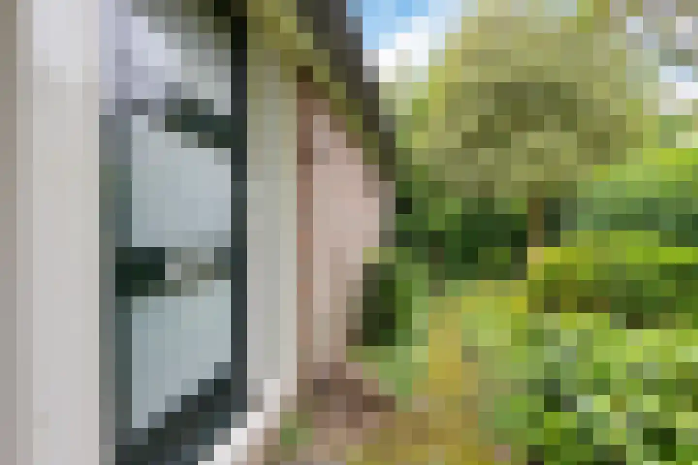 Stiendollen 3 Oudemirdum thumbnail 42
