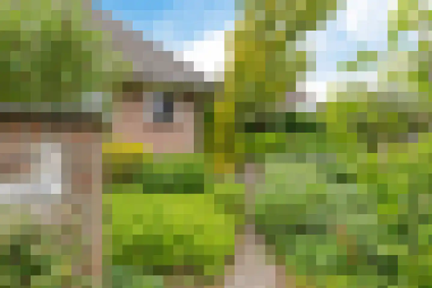 Stiendollen 3 Oudemirdum thumbnail 43