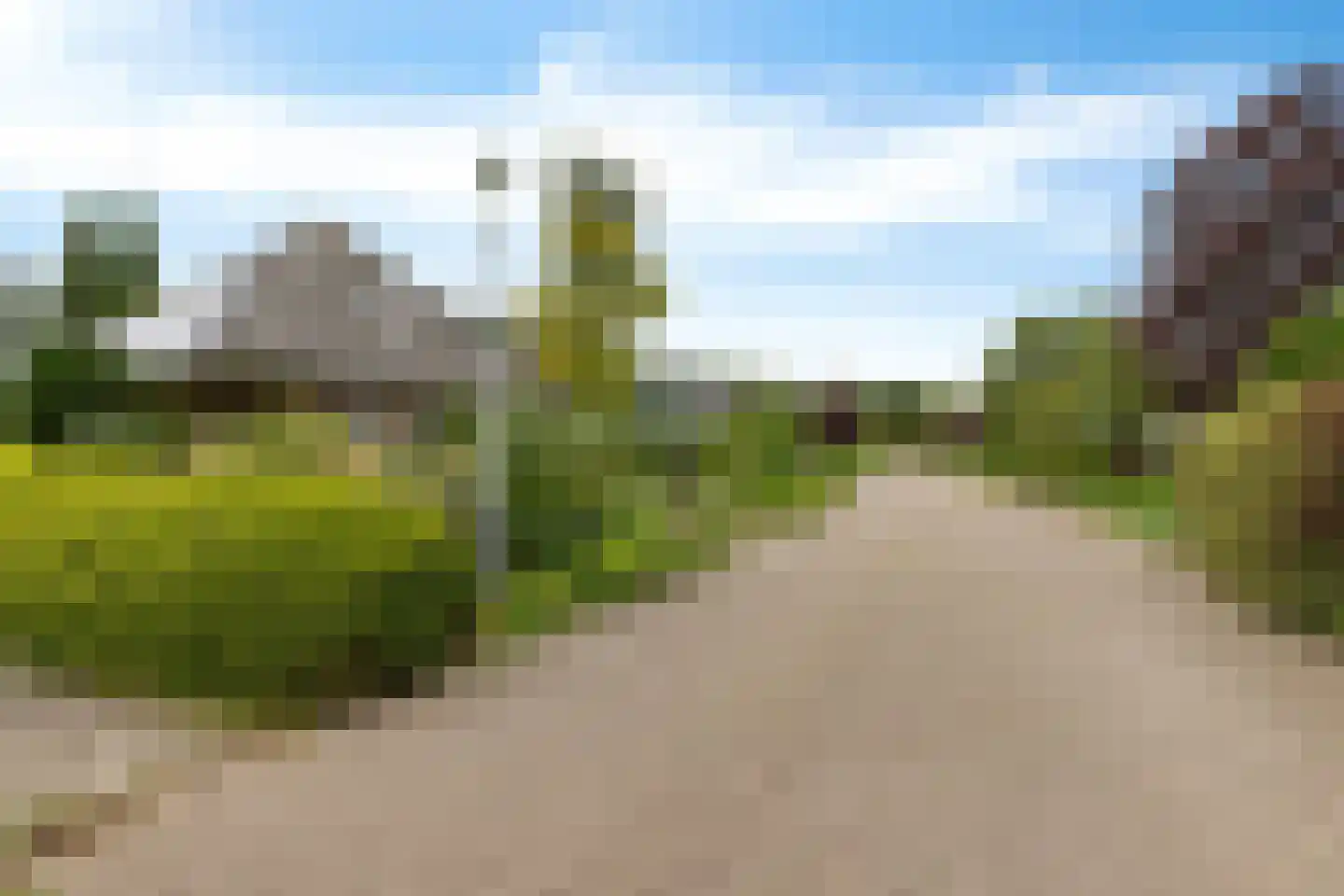 Stiendollen 3 Oudemirdum thumbnail 47