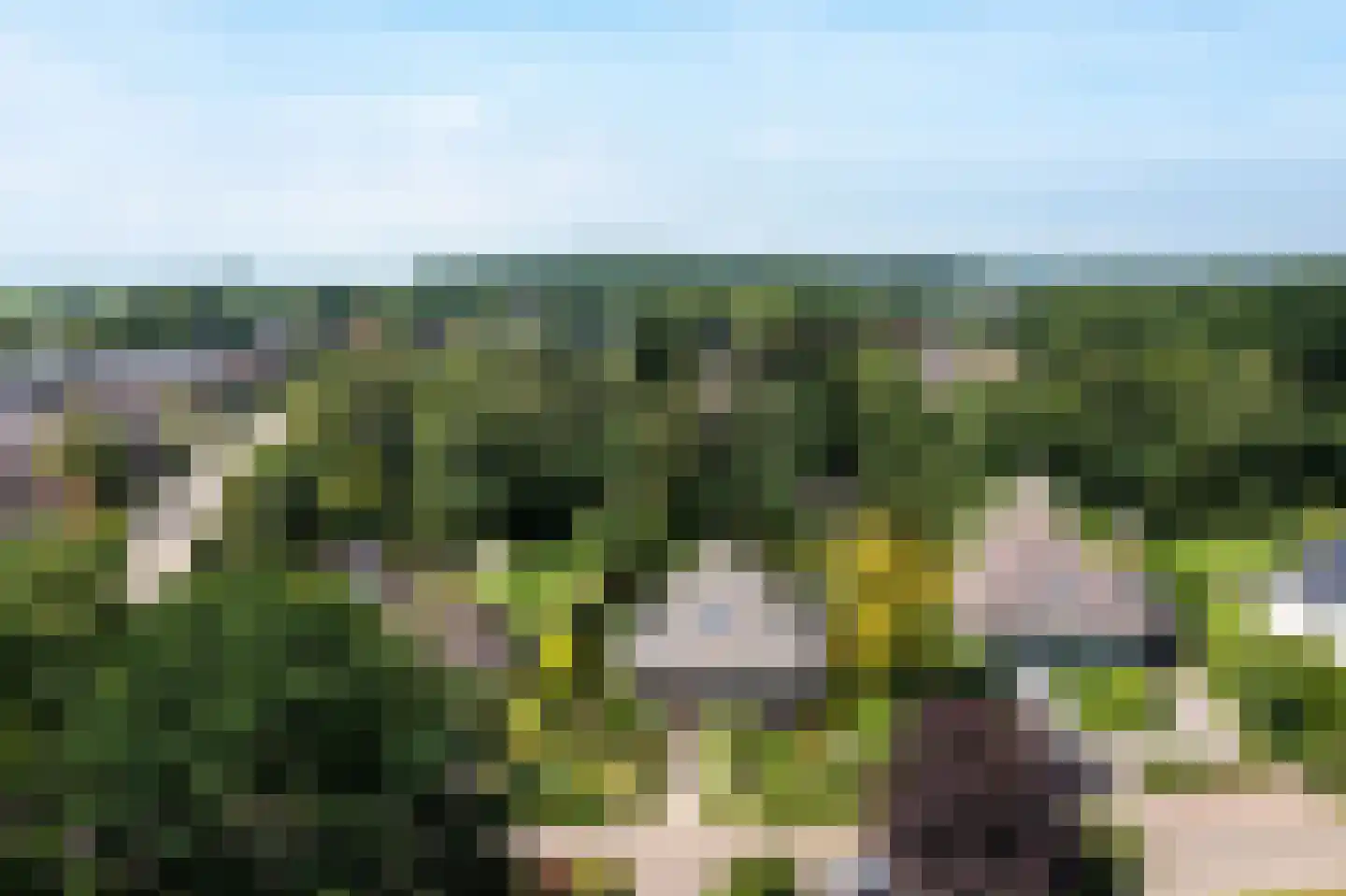 Stiendollen 3 Oudemirdum thumbnail 48