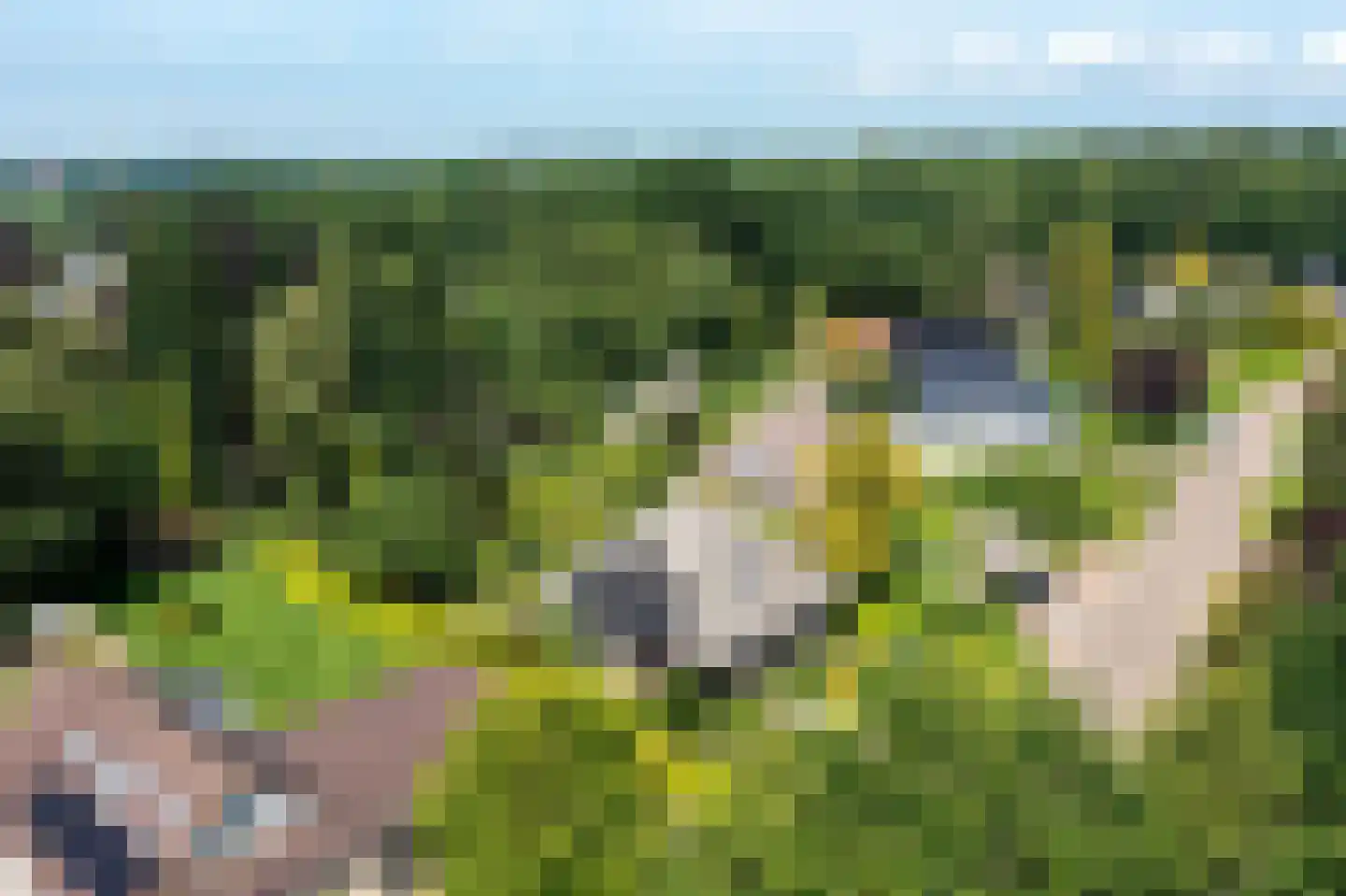 Stiendollen 3 Oudemirdum thumbnail 49