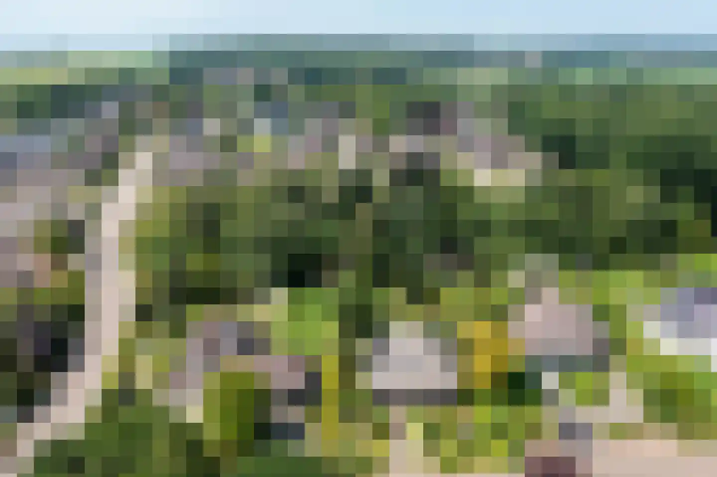 Stiendollen 3 Oudemirdum thumbnail 5