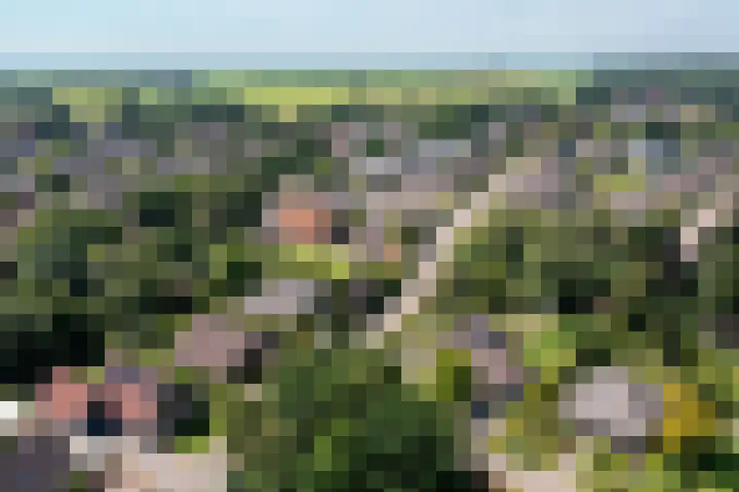 Stiendollen 3 Oudemirdum thumbnail 51