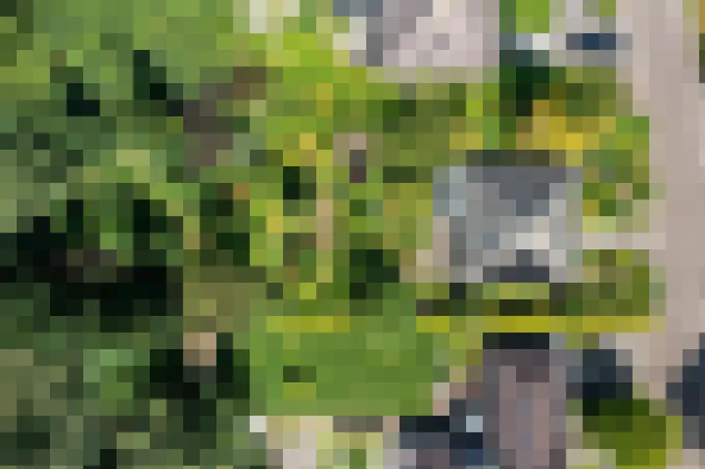 Stiendollen 3 Oudemirdum thumbnail 52